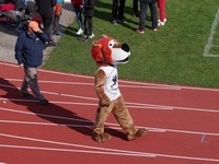 MČR Běh na 60 m s překážkami 2024