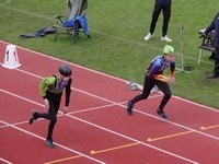 MČR Běh na 60 m s překážkami 2024