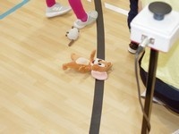 Okresní uzlová štafeta 2025