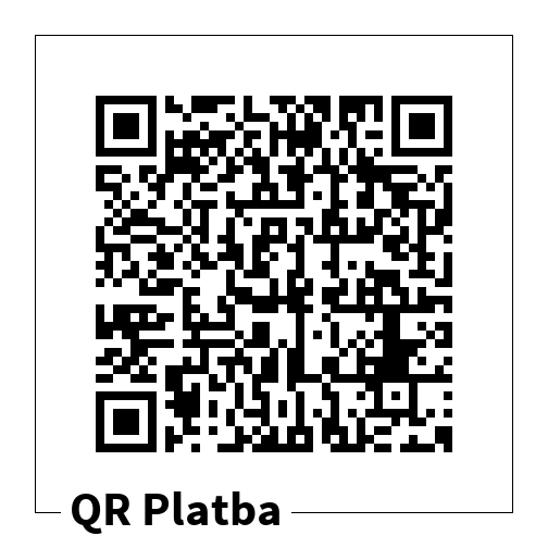 QR 3000 Kč